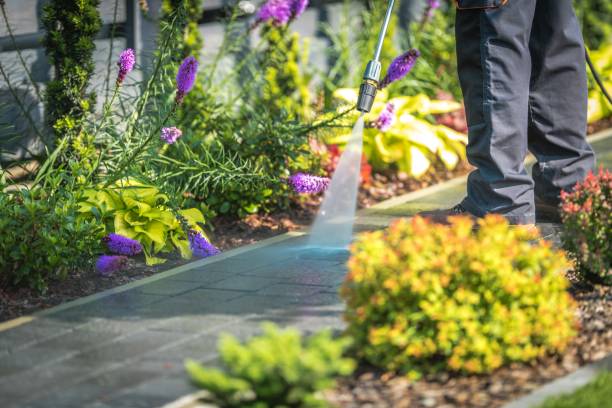 Best Gutter Cleaning  in Riviera Beach, MD